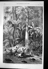 Antique print floating for sale  UK