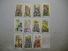Gallaher cigarette cards for sale  BRISTOL