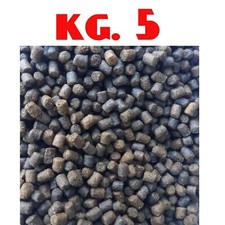 Pellet pesca carpa usato  Terni