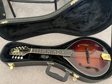 Kentucky 505 mandolin for sale  Malden