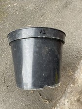 Black plastic plant for sale  BIRMINGHAM