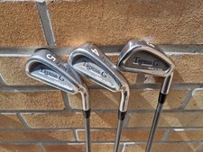 Rare lynx tigeress for sale  COLCHESTER