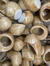 Lot coquilles escargots d'occasion  Villeurbanne