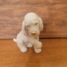 Lenox cocker spaniel for sale  Vanceboro