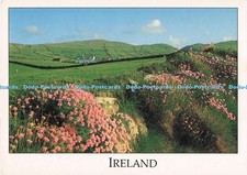 D295245 irland cottage gebraucht kaufen  Versand nach Germany
