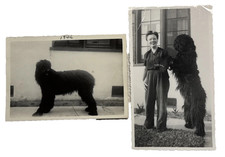 Vtg photograph lot d'occasion  Expédié en Belgium
