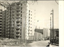 1955 napoli fuorigrotta usato  Milano