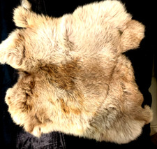 Genuine natural rabbit for sale  Dover