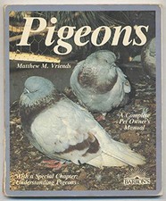 Pigeons vriends matthew for sale  UK