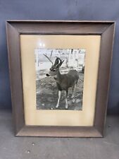 Antique framed photograph for sale  Algona