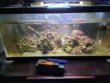 Gallon breeder aquarium for sale  Mahopac