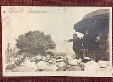 bull moose photograph for sale  Sand Springs
