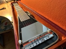 Framus electra lapsteel gebraucht kaufen  Lage