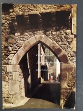 Saurier vieille porte d'occasion  Beaumont-de-Lomagne
