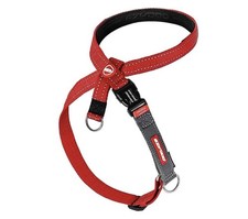 Ezy dog anti for sale  DONCASTER