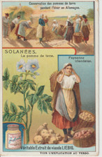 Chromo liebig solanees d'occasion  Expédié en Belgium