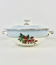 Lot soupières porcelaine d'occasion  Benfeld