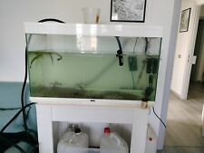 Acquario 240 litri usato  Sesto Fiorentino