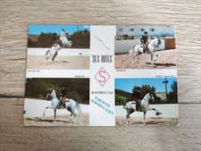 Alte pferdepostkarte andalusie gebraucht kaufen  Borna