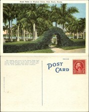Royal palms bingham for sale  Sandusky