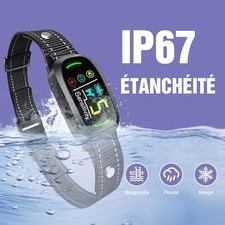 Collier dressage chien d'occasion Collier dressage chien d'occasion  Marseille I