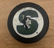 Vintage springfield indians for sale  Chicopee