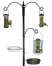 New traditional bird for sale  SWINDON