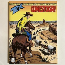 Tex 133 nuova usato  Calcinato