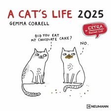 Gemma correll cat for sale  EXETER