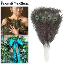 100x peacock tail for sale 100x peacock tail for sale  WALTHAM CROSS