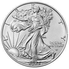 2023 $1 American Silver Eagle 1 oz BU intacto não circulado comprar usado  Enviando para Brazil