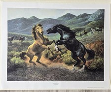 Rare horses supremacy for sale  Panama City