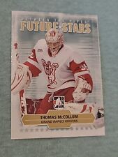 Thomas mccollum eisbären gebraucht kaufen  Adorf
