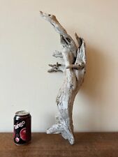 Driftwood piece delicate for sale  UK