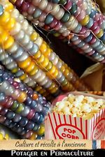 Maïs pop corn d'occasion  Bourthes