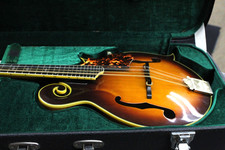 1992 washburn m3sw for sale  Hartsville