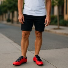 Fizik shoes peloton for sale  Palm Harbor