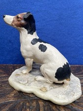 Jack russell terrier for sale  BRIGHOUSE
