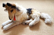 Steiff collie alt gebraucht kaufen  Laatzen