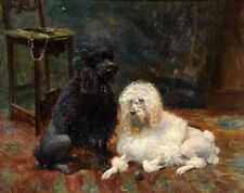 Pintura a óleo bonita encantadora dois cães Poodle Sentado no tapete sobre tela, usado comprar usado  Enviando para Brazil