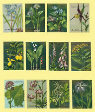 Poster stamps botanica d'occasion  Saint-Genis-Pouilly