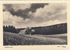 Waldwiese gl1942 f3392 gebraucht kaufen Waldwiese gl1942 f3392 gebraucht kaufen  Deutschland