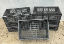 Grey vented euro for sale  GRIMSBY