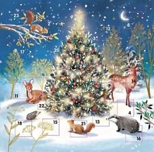 Christmas advent calendar for sale  LEIGHTON BUZZARD