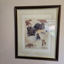 Nigel hemming multistudy for sale  COALVILLE