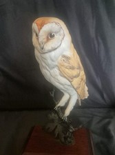Porcelain barn owl for sale Porcelain barn owl for sale  WALSALL