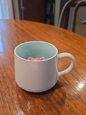 teacup pig for sale  Warrenton
