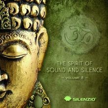 The spirit sound gebraucht kaufen  Berlin