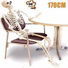 Skelett halloween lebensgroß gebraucht kaufen  Frankfurt (Oder)