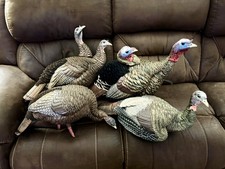 Avian turkey decoys for sale  Union City